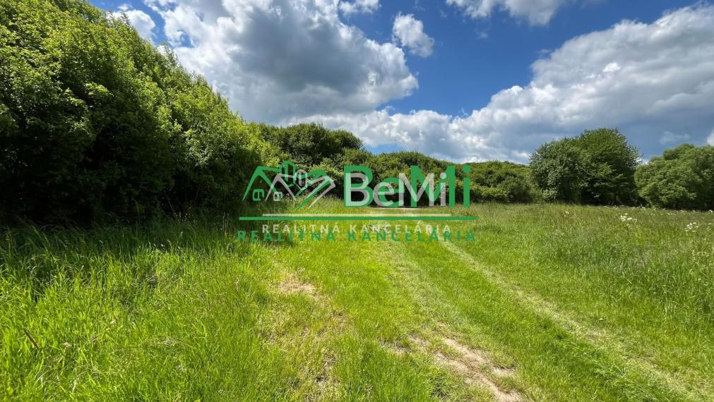 Pozemky 2536m2, 5974m2 Pliešovce, Zvolen