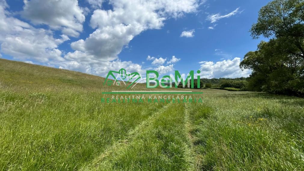 Pozemky 2536m2, 5974m2 Pliešovce, Zvolen