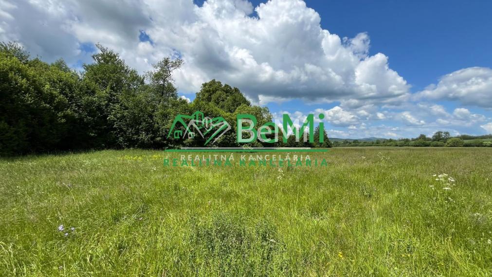 Pozemky 2536m2, 5974m2 Pliešovce, Zvolen