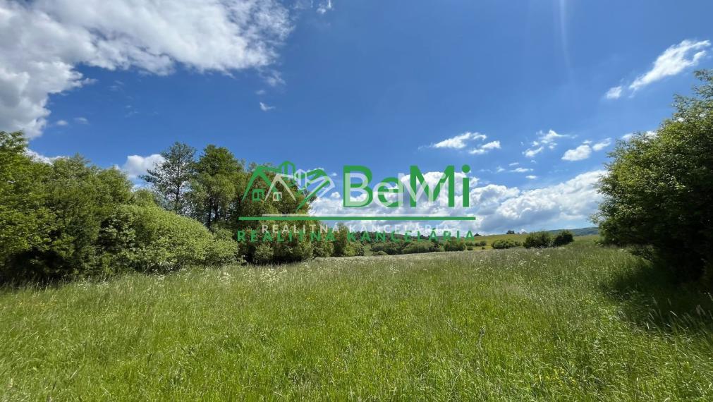 Pozemky 2536m2, 5974m2 Pliešovce, Zvolen