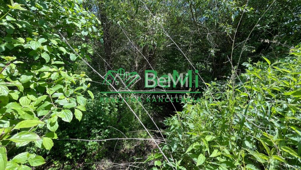 Pozemky 2536m2, 5974m2 Pliešovce, Zvolen