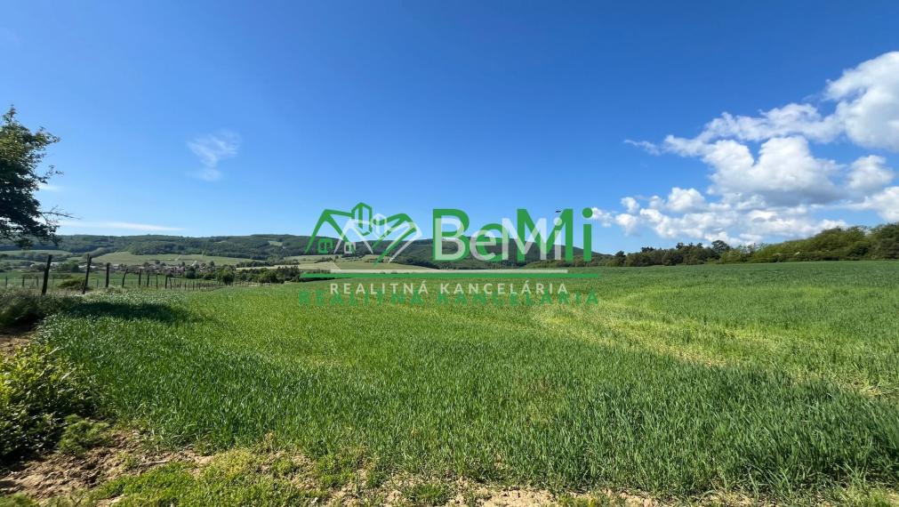 Rovinaté pozemky 7700m2 Sása, Zvolen