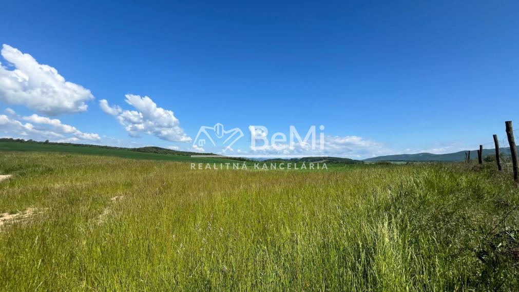 Rovinaté pozemky Sása, Zvolen