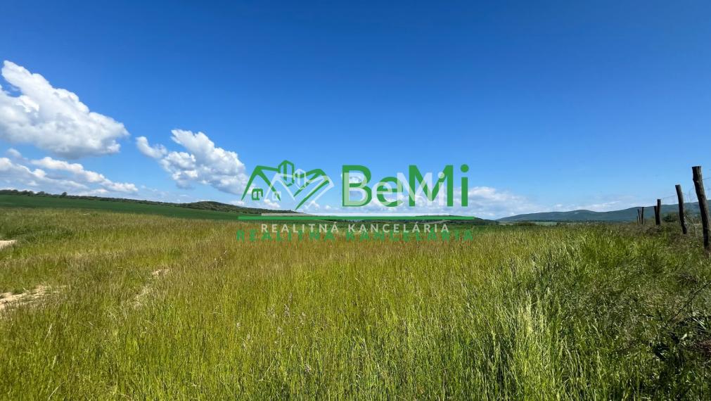 Rovinaté pozemky 7700m2 Sása, Zvolen