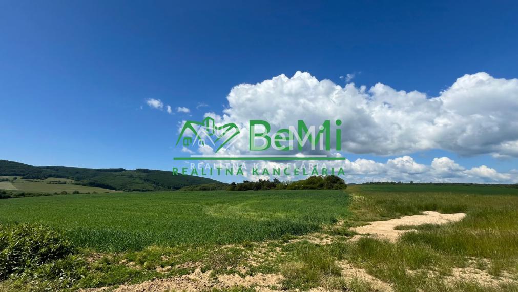 Rovinaté pozemky 7700m2 Sása, Zvolen