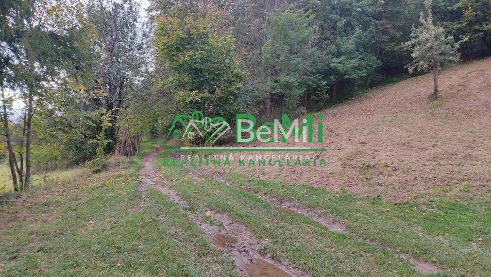 Chata v obci Belá, okres Žilina, 1336m2  048-13-PEMO