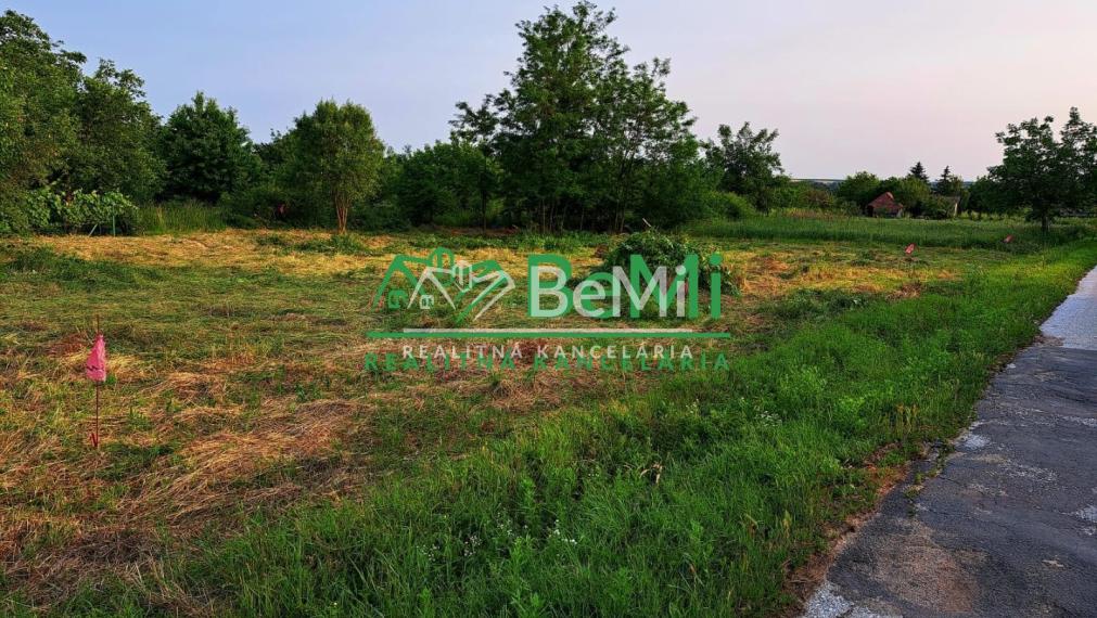 Predaj rekreačný pozemok -  Čechynce (004-14-JANS)