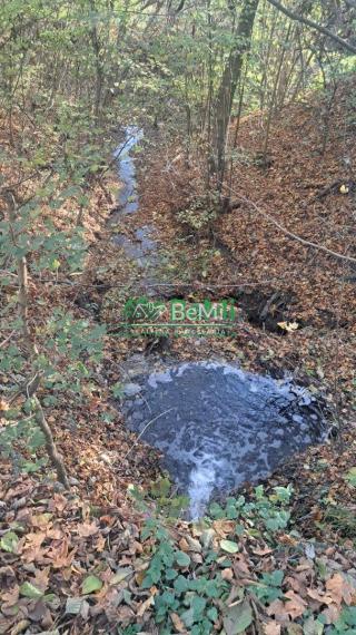 Znížená cena Dva Domy na samote v krásnej prírode Stará Turá Papraď