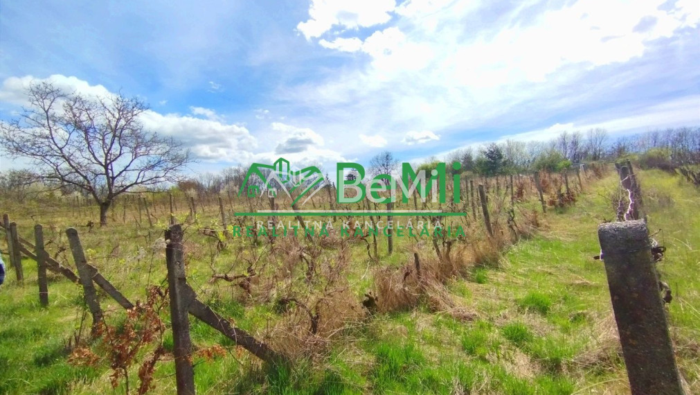 Vinica-Slovenské Kľačany-predaj