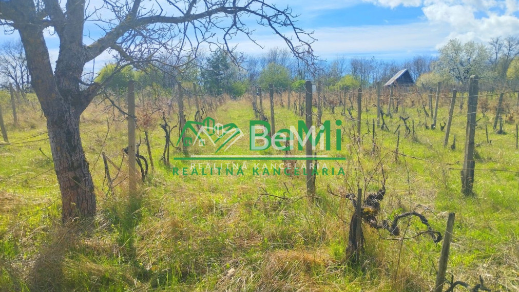 Vinica-Slovenské Kľačany-predaj