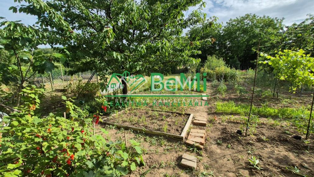 Predaj, záhrada v záhradkárskej oblasti - Levice(015-14-MIVY)