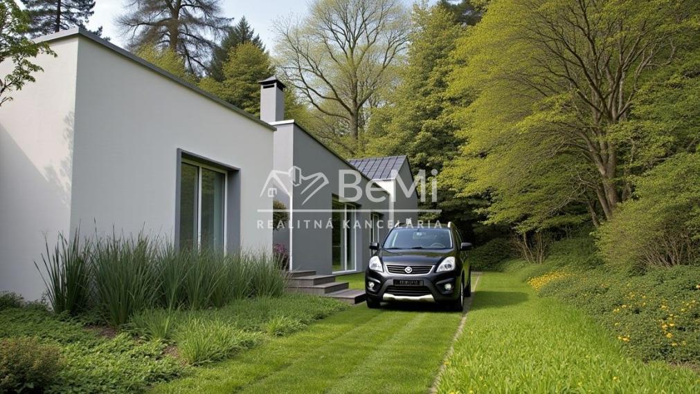 Čarovný pozemok s múrmi pôvodného domu, Sebedín