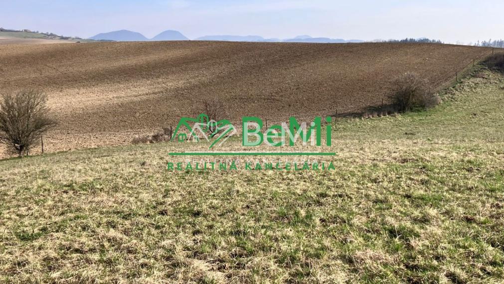 Pozemok v obci Hôrky, okres Žilina, 4511m2   036-14-JAGAa