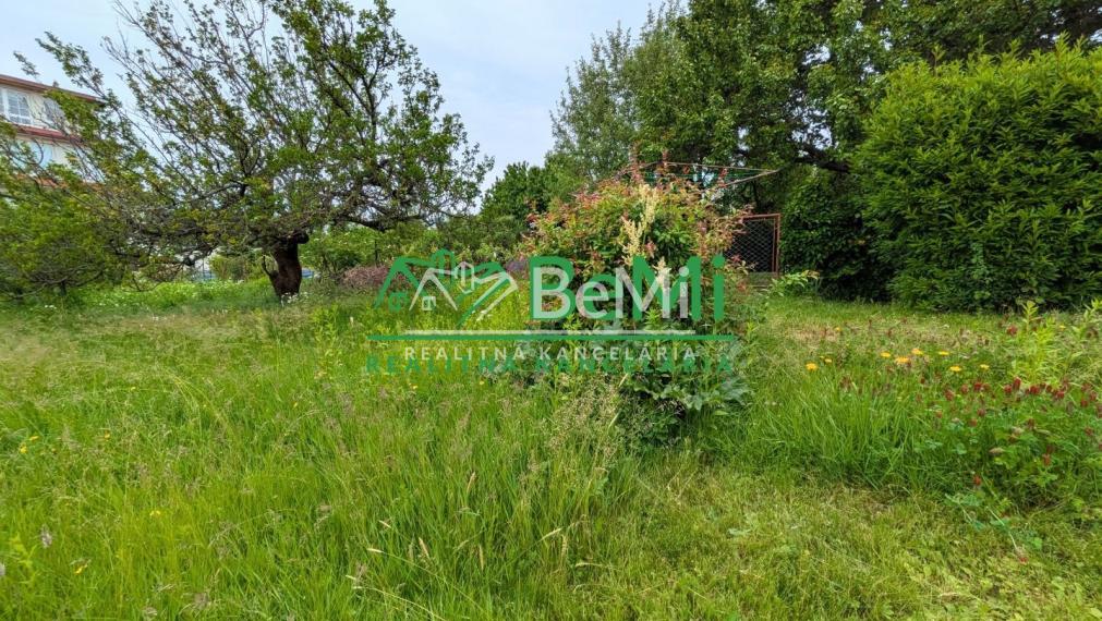 Predaj, rodinný dom - Zlaté Moravce (1211-12-AFI)