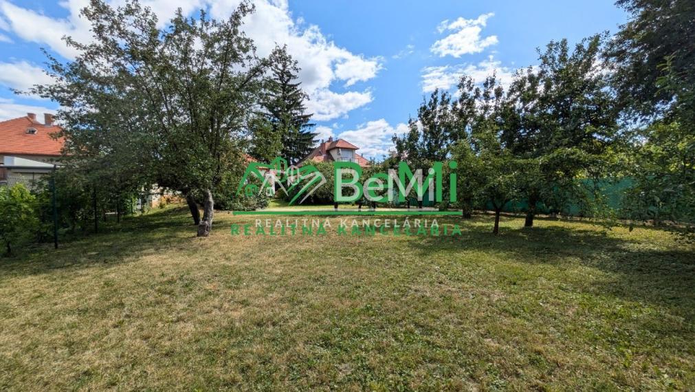 Predaj, rodinný dom - Zlaté Moravce (1221-12-AFI)