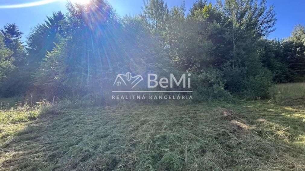 Na predaj pozemok – orná pôda v Hriňová – časť Slanec