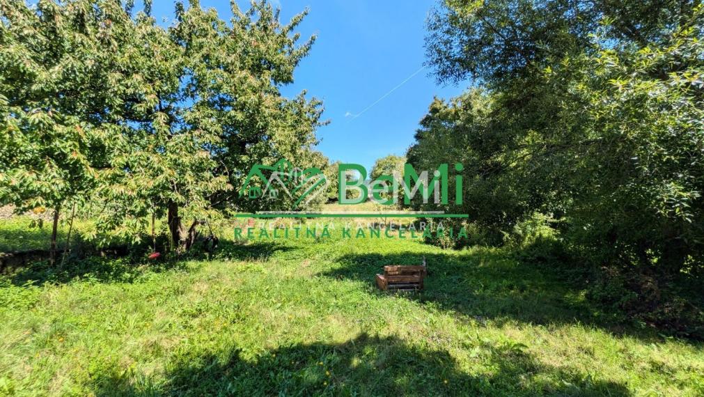 Predaj, rodinný dom / chalupa - Zlatno (1228-12-AFI)