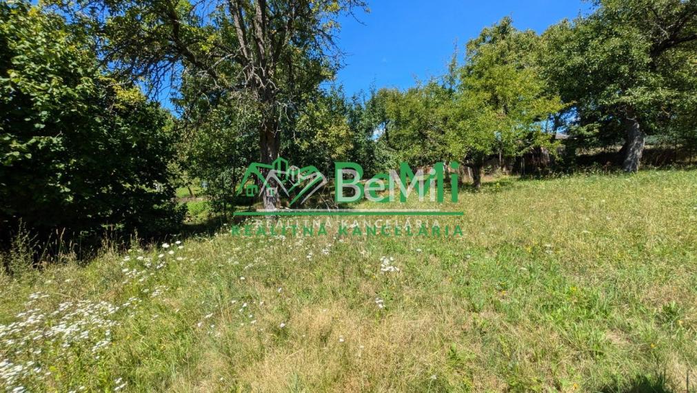 Predaj, rodinný dom / chalupa - Zlatno (1228-12-AFI)