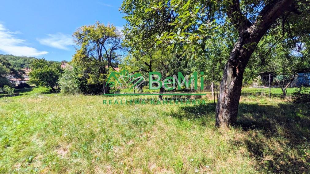 Predaj, rodinný dom / chalupa - Zlatno (1228-12-AFI)