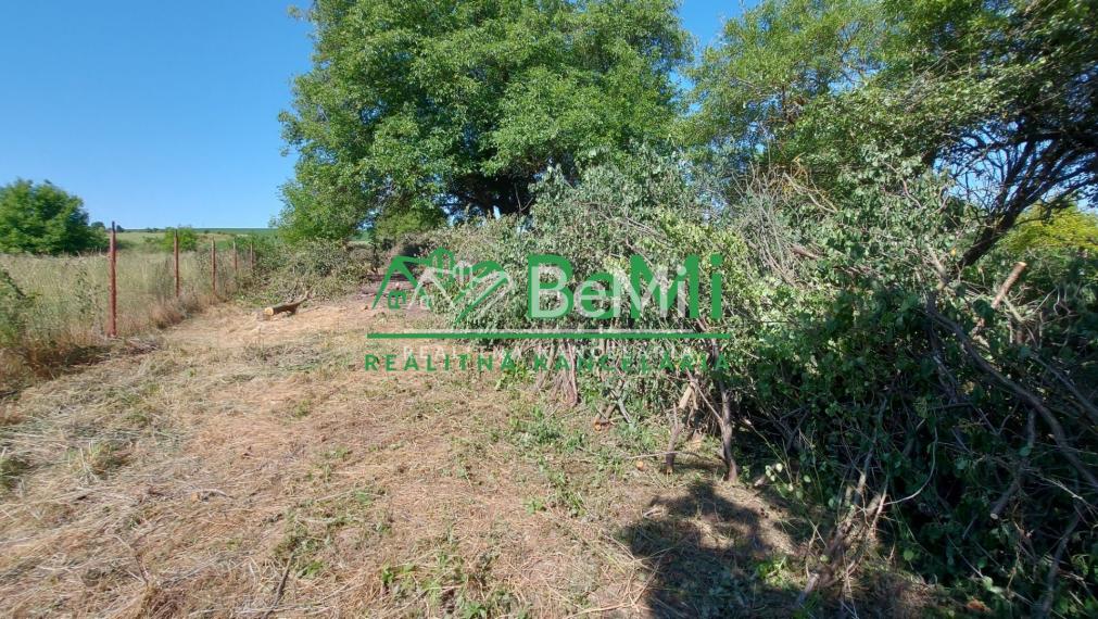 Predaj stavebný pozemok Zbehy pri Nitre (228-14-JUF)