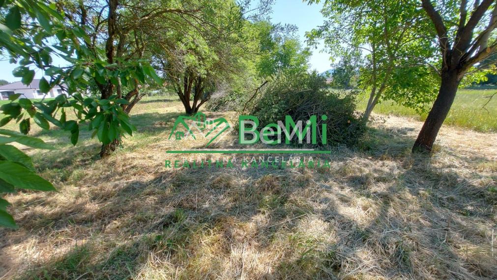 Predaj stavebný pozemok Zbehy pri Nitre (228-14-JUF)