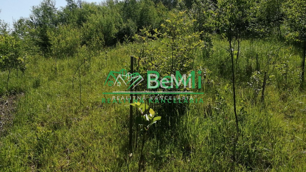 Predaj, rodinná vila, Čadca-Podzávoz (125-12-MACHa)