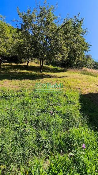 Rodinný dom Budatínska Lehota, okres Kysucké Nové Mesto, 1093m2    189-12-PEMOa