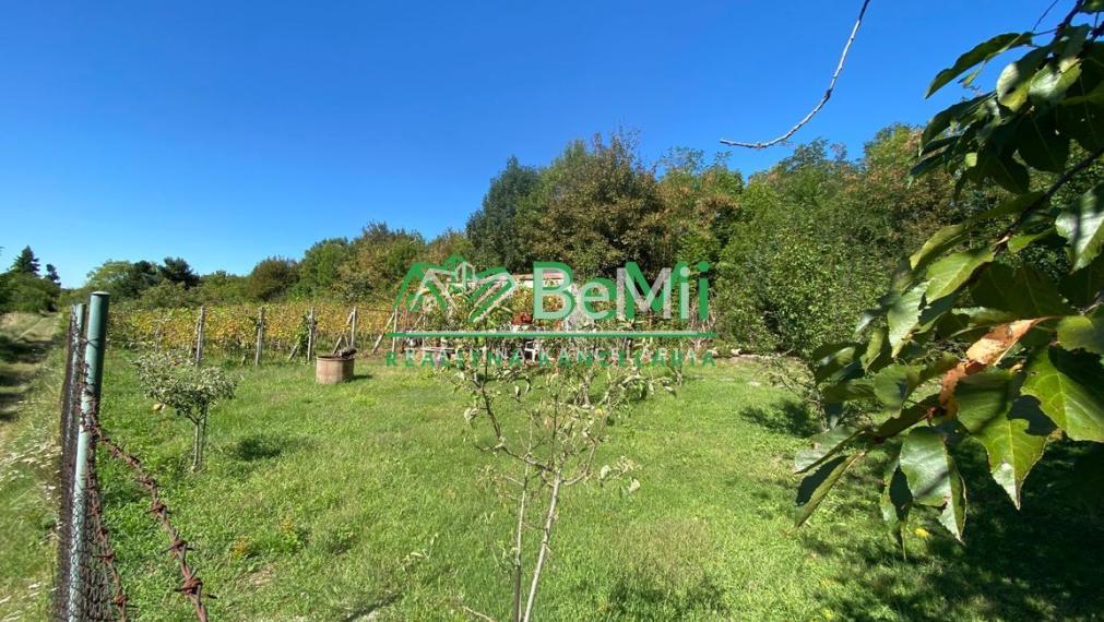Pozemok záhrada Nitra Štitáre 949 m2 ID 583-14-MIGa