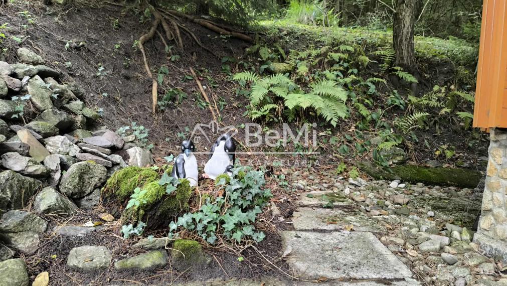 Rekreačná chata s veľkým pozemkom v lese