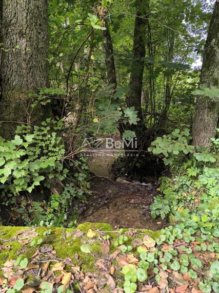 Rekreačná chata s veľkým pozemkom v lese