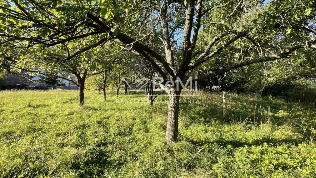 Znižená cena -predaj pozemku v interaviláne obce Sklené - Turč,Teplice