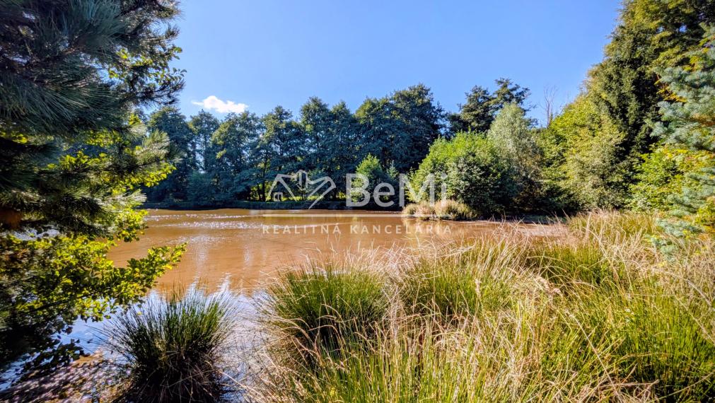 Predaj, rodinný dom / chalupa - Zlatno (1228-12-AFI)