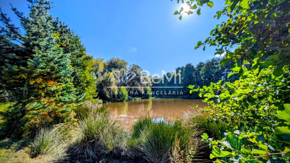 Predaj, rodinný dom / chalupa - Zlatno (1228-12-AFI)