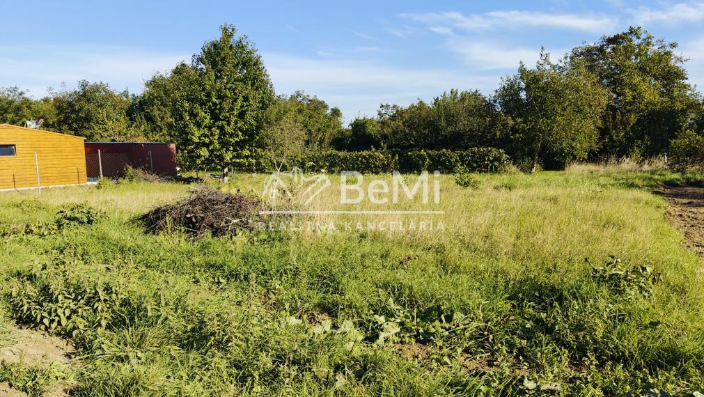 Predaj rekreačný pozemok -  Čechynce (004-14-JANS)