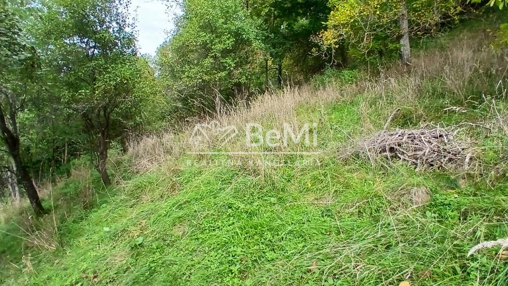 Predaj,  rodinný dom pod lesom - Senné/ Príboj (007-12-MIMI)