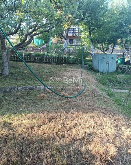 Predaj záhrady v sade 600 ročnice (031-13-ZUPIa)