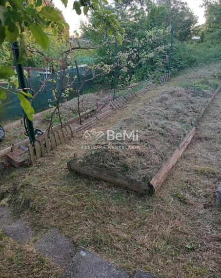 Predaj záhrady v sade 600 ročnice (031-13-ZUPIa)