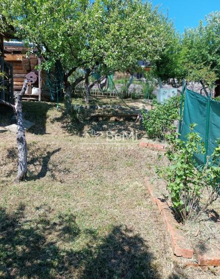 Predaj záhrady v sade 600 ročnice (031-13-ZUPIa)