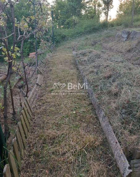 Predaj záhrady v sade 600 ročnice (031-13-ZUPIa)