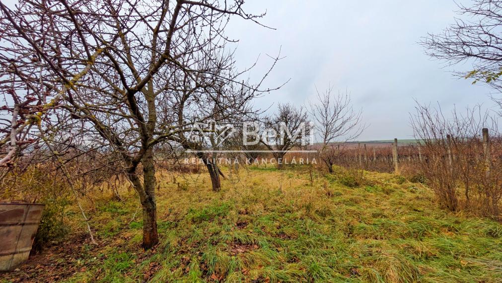 Predaj, rodinný dom - Dvorníky / Hlohovec (1238-12-AFI)