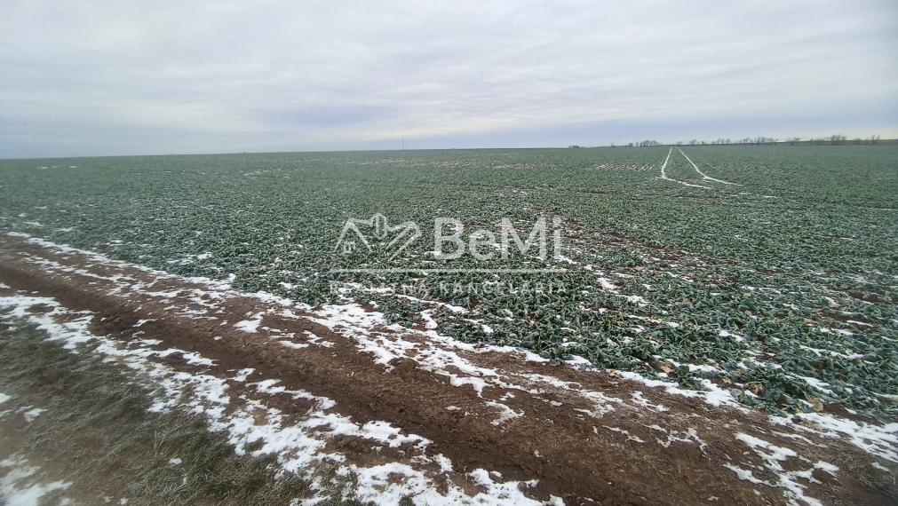 Orná pôda v k.ú. Svätoplukovo - až 9,8 ha blízko Mojmíroviec