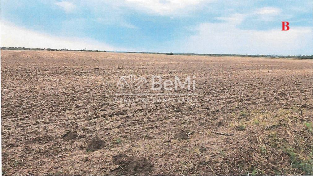 Orná pôda v k.ú. Svätoplukovo - až 9,8 ha blízko Mojmíroviec