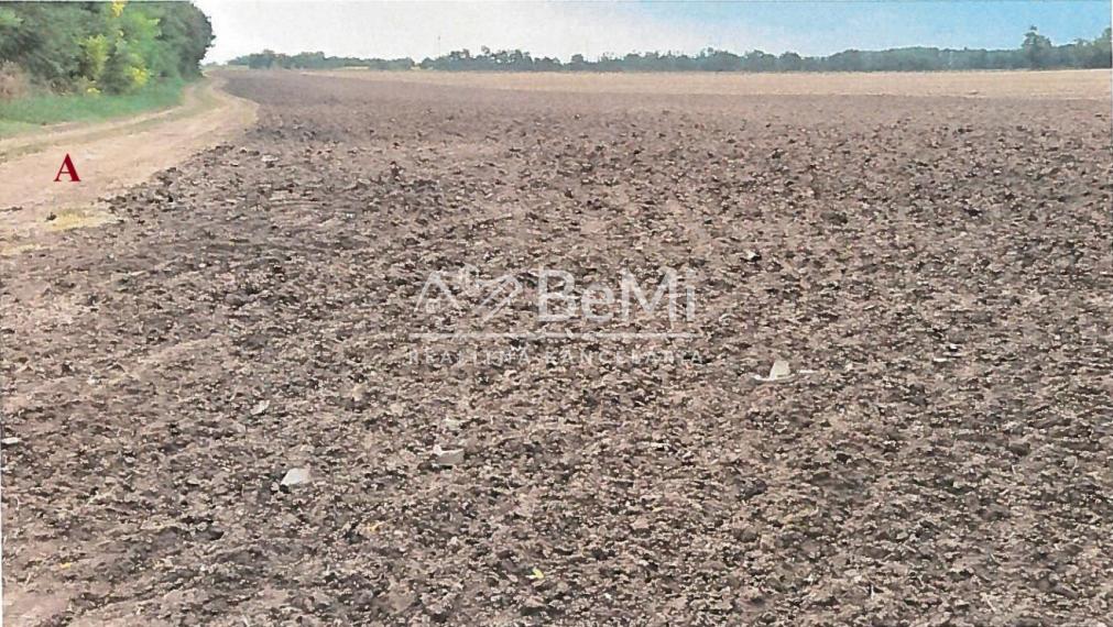 Orná pôda v k.ú. Svätoplukovo - až 9,8 ha blízko Mojmíroviec
