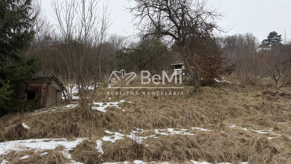 Záhrada na prenájom v Rožňave za výhodnú cenu -Nájom