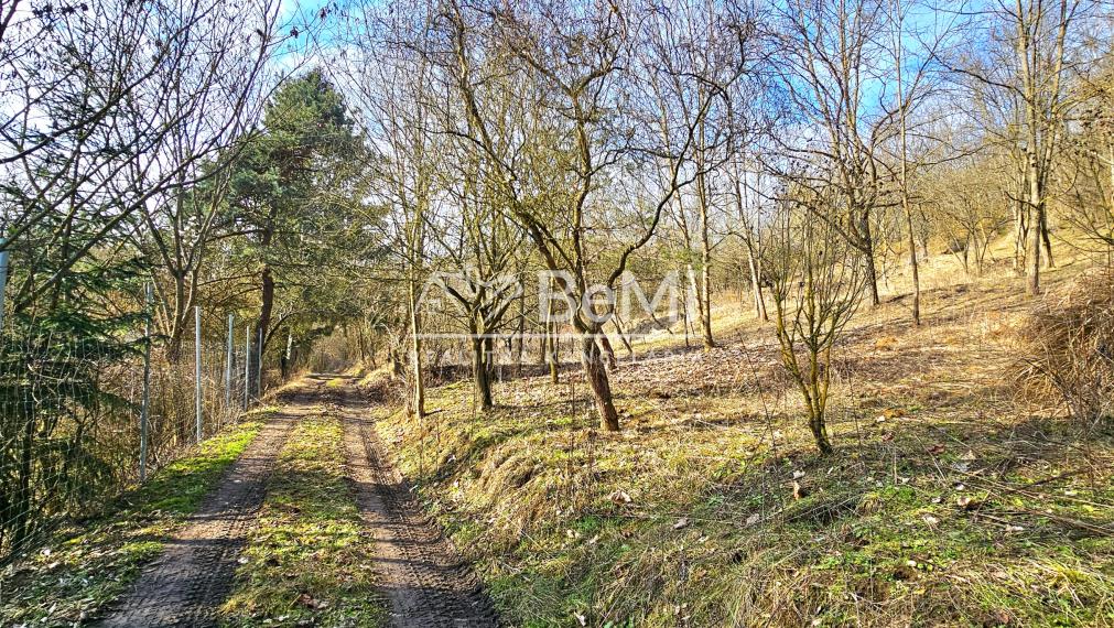 CHATA NA POLOSAMOTE 2733m² - NA PREDAJ