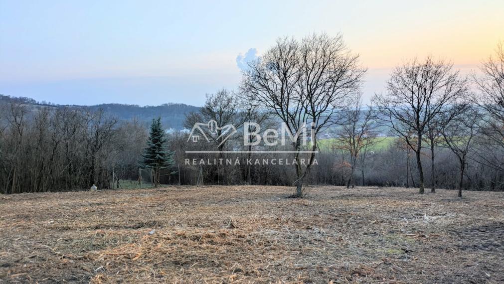 Predaj, rekreačný pozemok - Hronský Beňadik (1246-14-AFI)