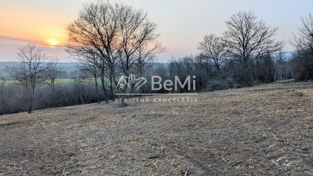 Predaj, rekreačný pozemok - Hronský Beňadik (1246-14-AFI)