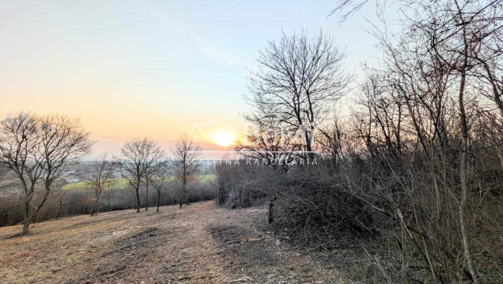 Predaj, rekreačný pozemok - Hronský Beňadik (1246-14-AFI)