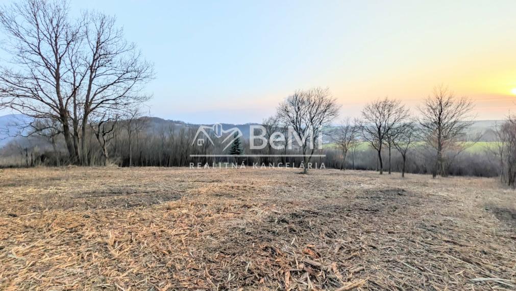 Predaj, rekreačný pozemok - Hronský Beňadik (1246-14-AFI)