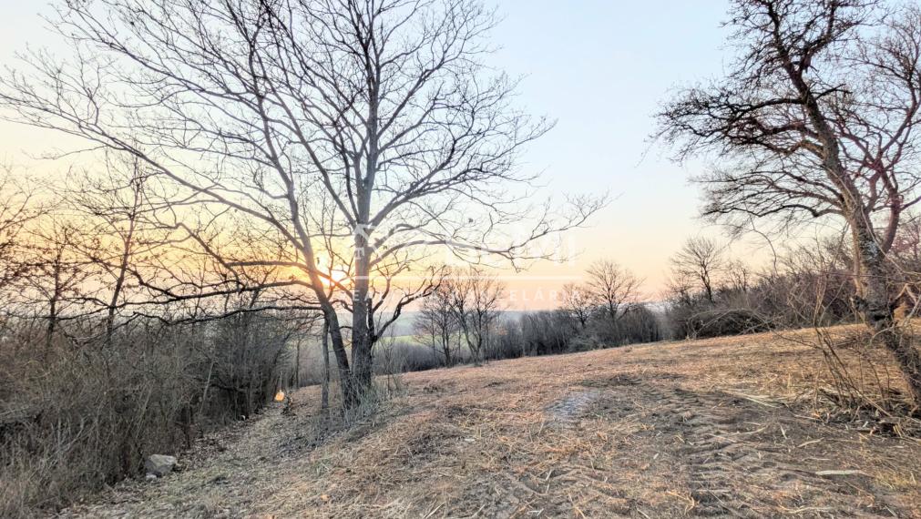 Predaj, rekreačný pozemok - Hronský Beňadik (1246-14-AFI)